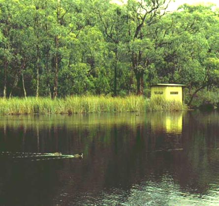 Bird hide at Woorabinda