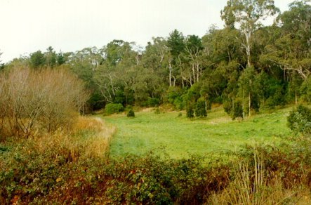 [Stirling Park]