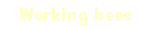 [Working bees]