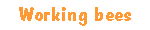 [Working bees]